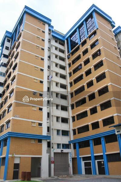 531 Woodlands Drive 14