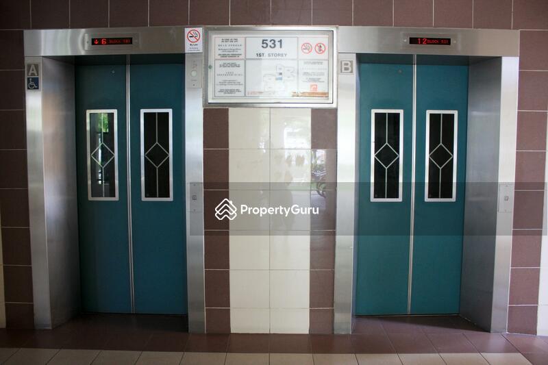 531 Woodlands Drive 14