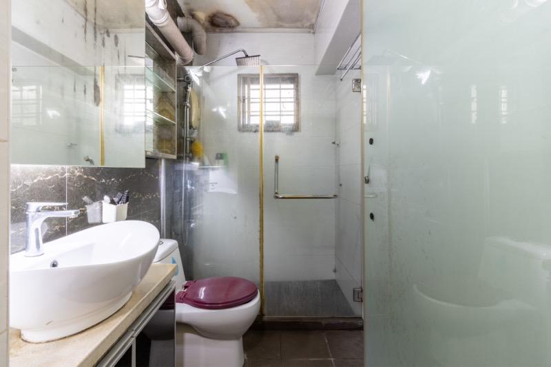 HDB Apartment for Sale: D19, 540129