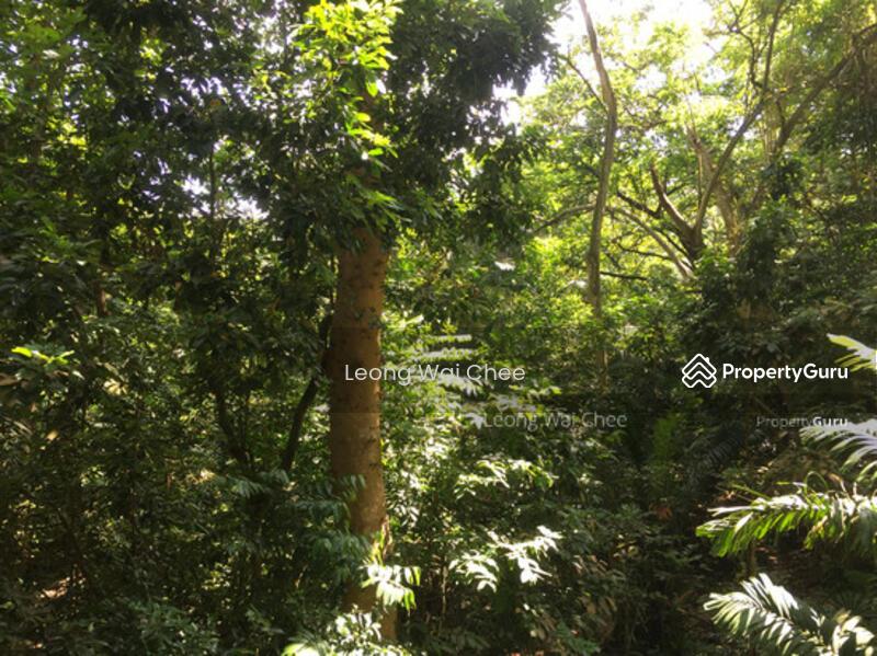 Condominium for Sale: Upper Bukit Timah, D21, 587848