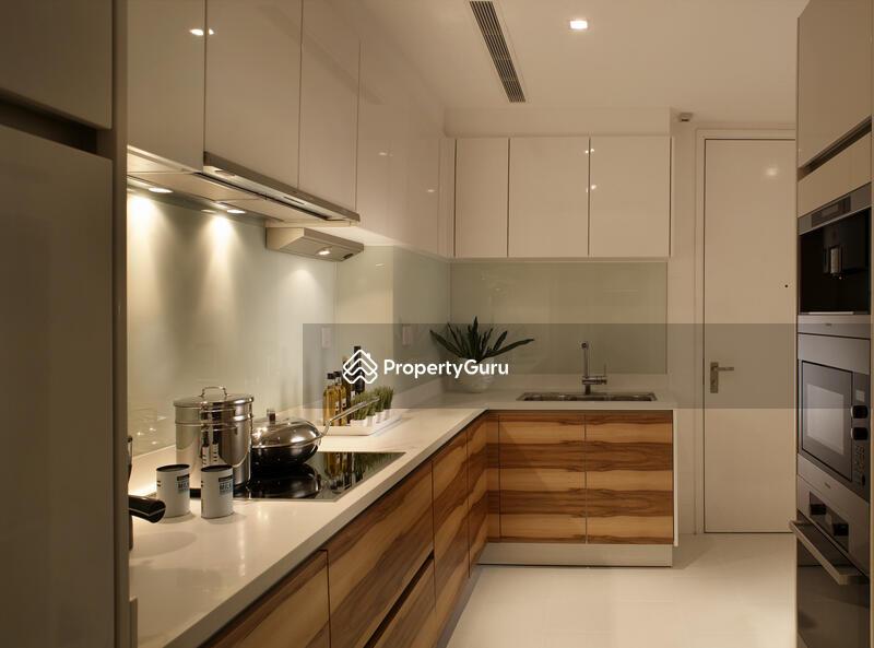 Condominium for Sale: Cairnhill, D09, 229815
