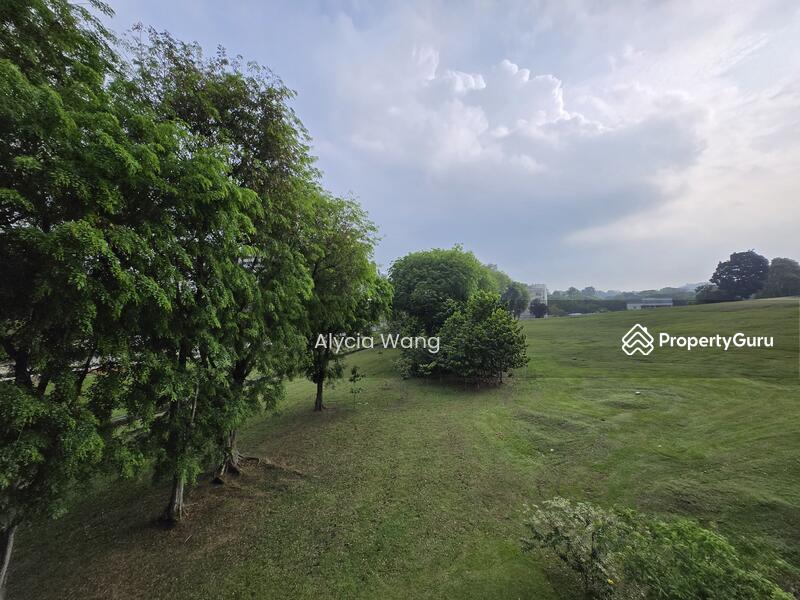 Terrace for Sale: D20, 577712