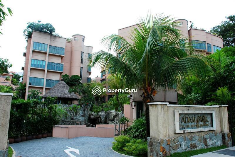 Condominium for Sale: D11, 289901