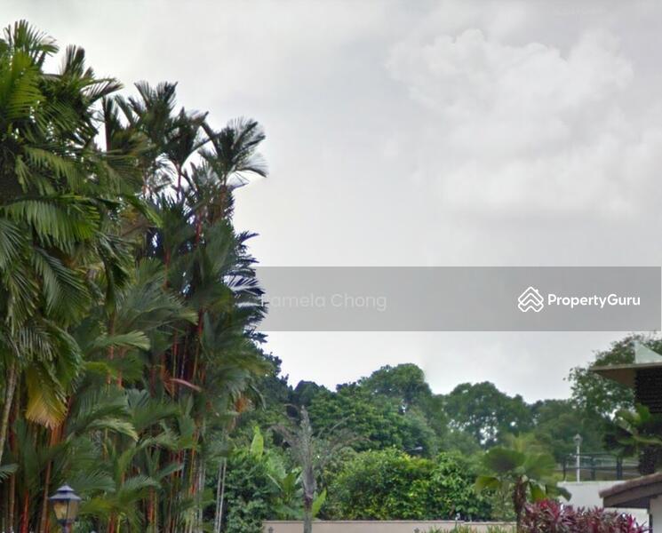 Bungalow - Good Class for Sale, Attractive $18Xx Psf??Prime Chancery Gcb Plot?? Dual Frontage ?? Pam 9022 8600, SGD 40,000,000 | Freehold