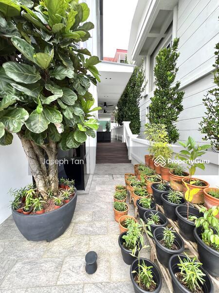 Detached for Sale, Stunning Siglap bungalow for sale, SGD 12,500,000 | Freehold