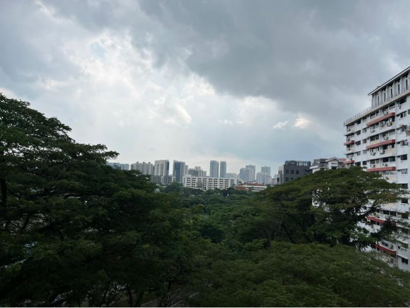 HDB Apartment for Sale, 113 Lorong 1 Toa Payoh HDB Apartment For Sale, $398,000, 2 Bed 2 Bath 699 sqft $569.00 psf, SGD 398,000 | 99-year Leasehold