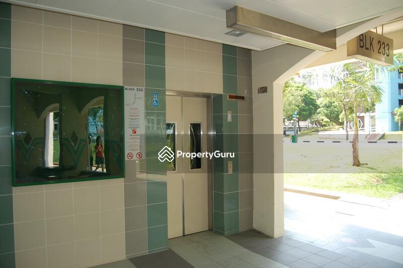 HDB Flat for Sale: D18, 520233