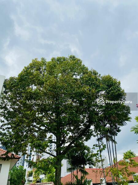 Detached for Sale, Wilkinson/Broadrick/Crescent/Parkstone/Wareham, SGD 14,000,000 | Freehold