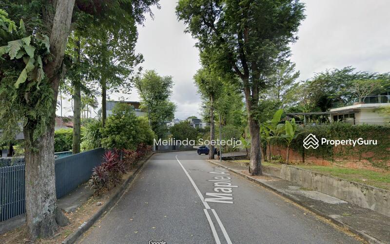 Detached for Sale, Maple Avenue Bungalow 6 bed, 2.5 storey plus basement, SGD 13,000,000 | Freehold