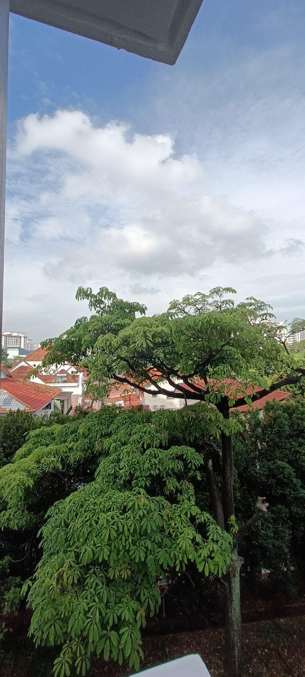 250A Compassvale Street HDB Apartment For Sale, $928,000, 4 Bed 2 Bath 1,410 sqft $658.00 psf