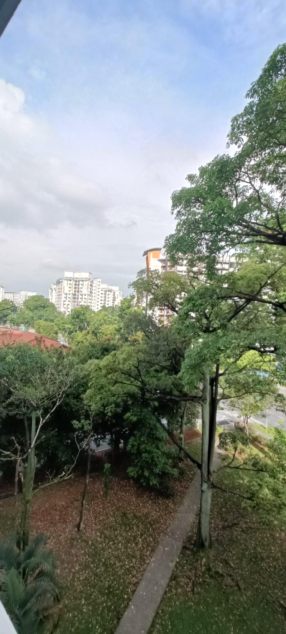 250A Compassvale Street HDB Apartment For Sale, $928,000, 4 Bed 2 Bath 1,410 sqft $658.00 psf