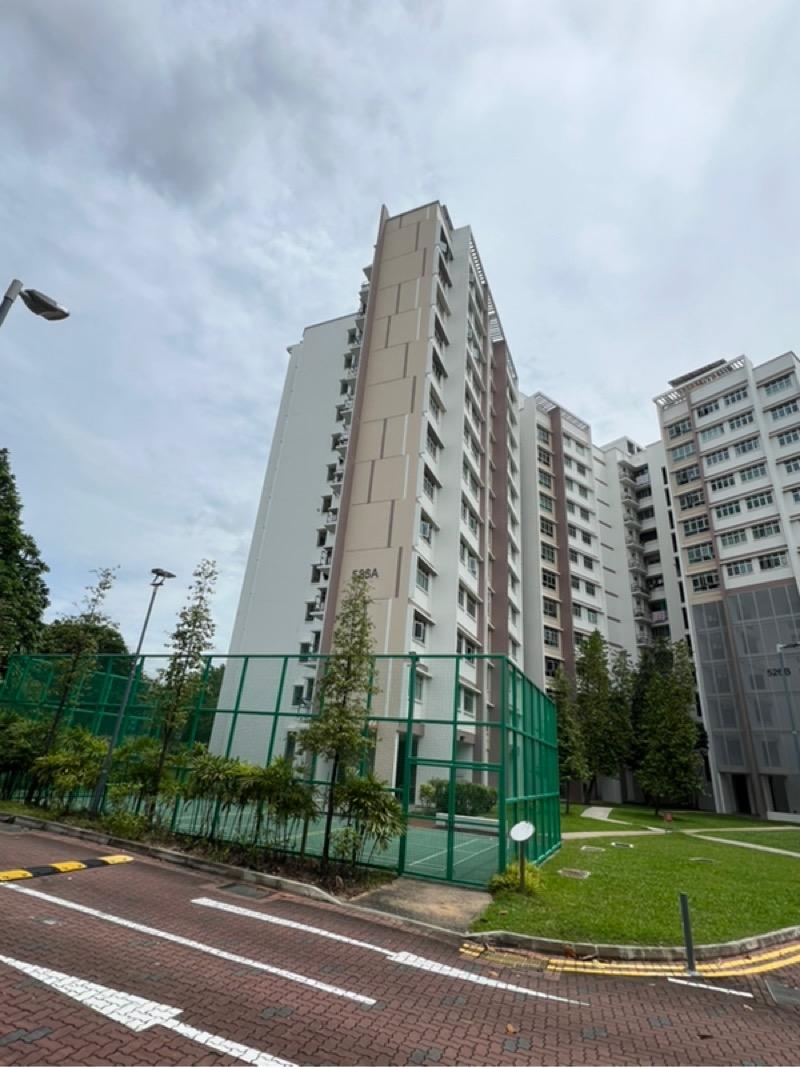 PASIR RIS STREET 51 HDB Apartment For Sale, $780,000, 3 Bed 2 Bath 96 sqft $8,125.00 psf