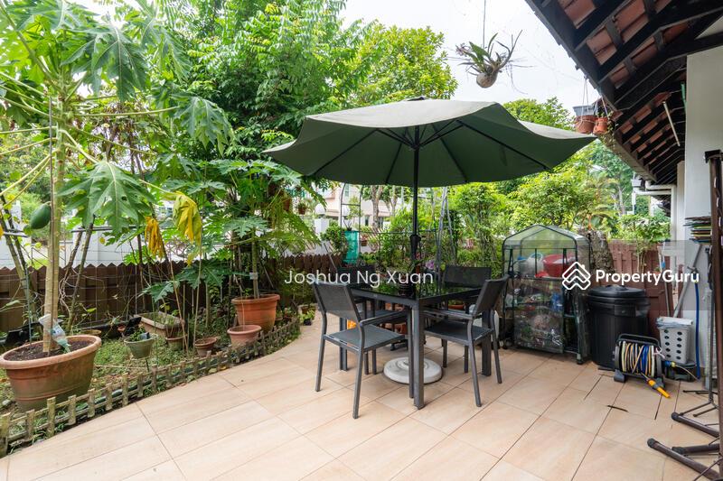 Terrace for Sale: D20, 576191