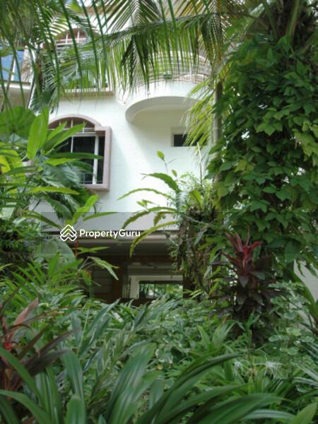 Terrace for Sale: D11, 298807