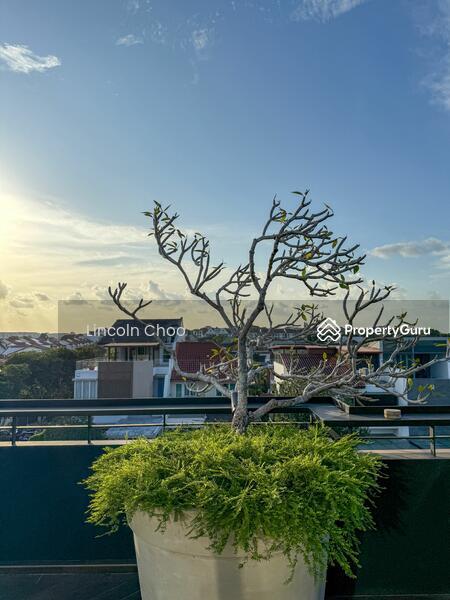 Bungalow for Sale: D28, 809801
