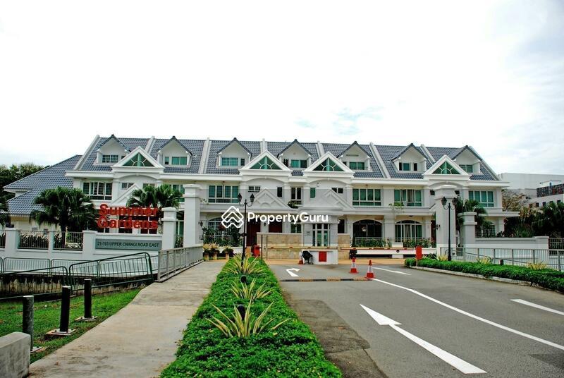 Terrace for Sale: D16, 486232