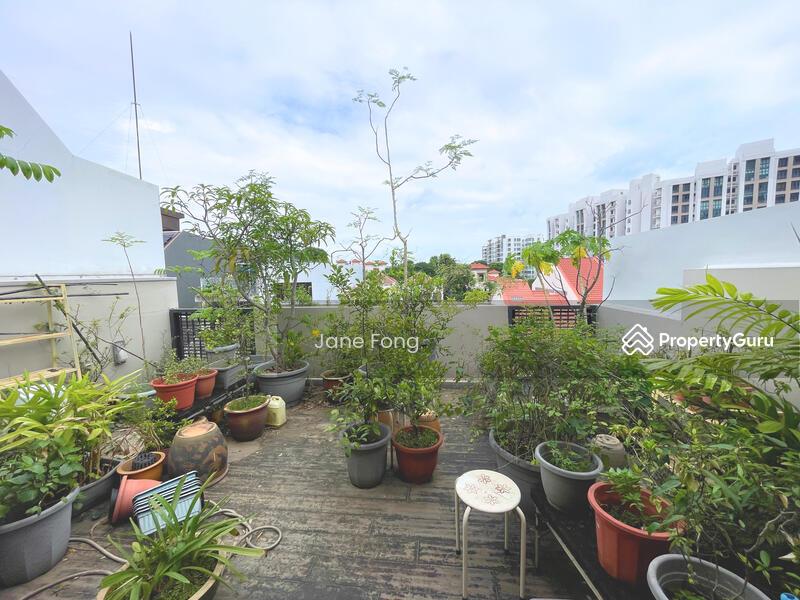 Terrace for Sale: D16, 468031