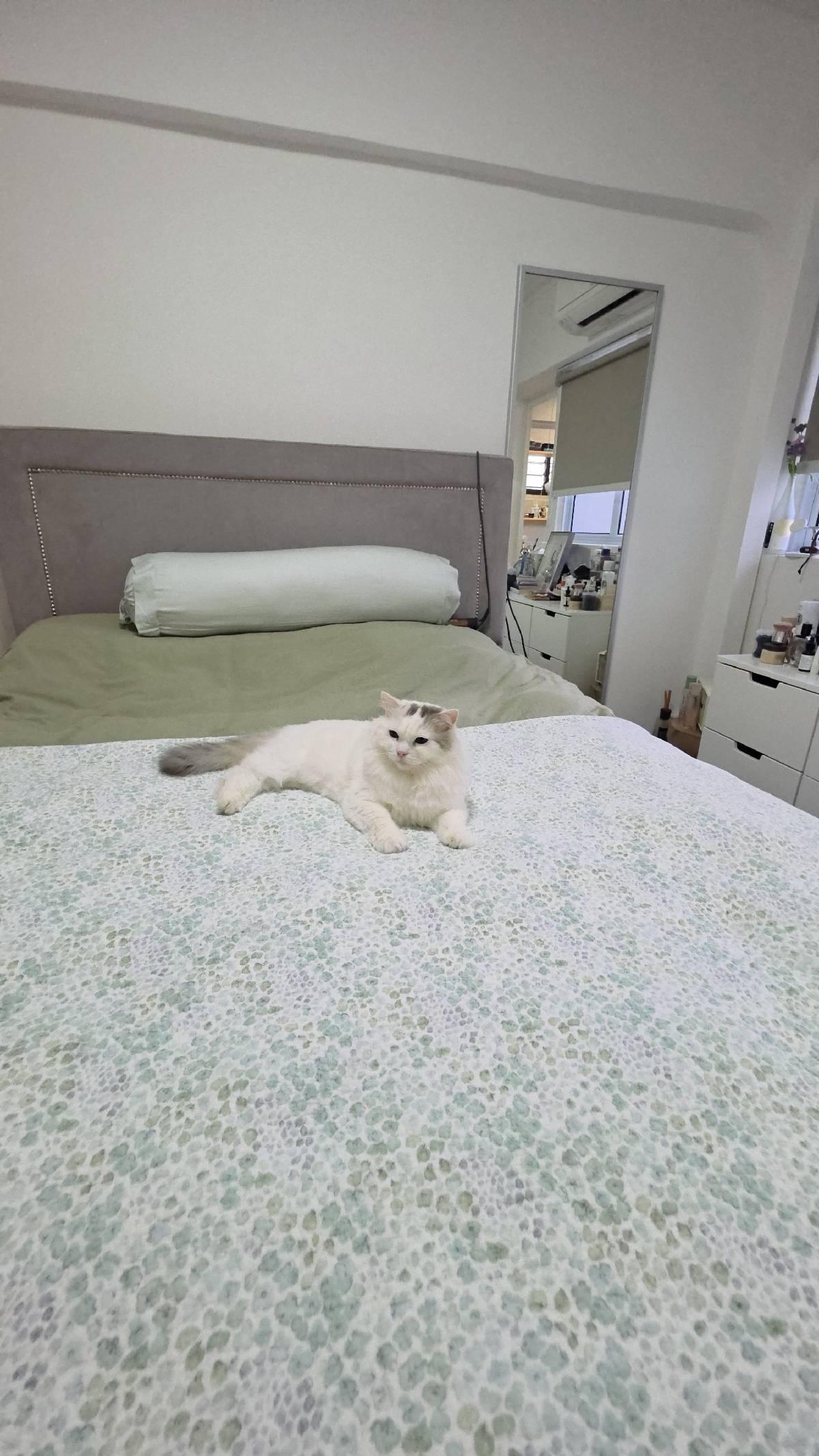 HDB Apartment for Sale: D05, 120610