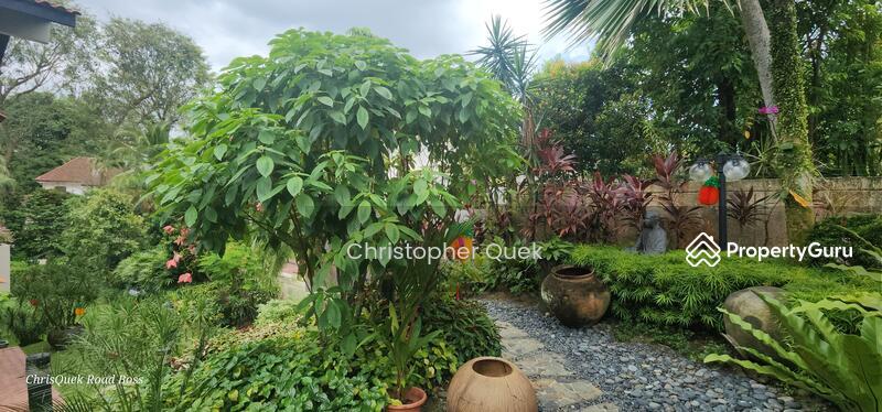 Bungalow - Good Class for Sale, Mount Echo Park, SGD 43,000,000 | Freehold