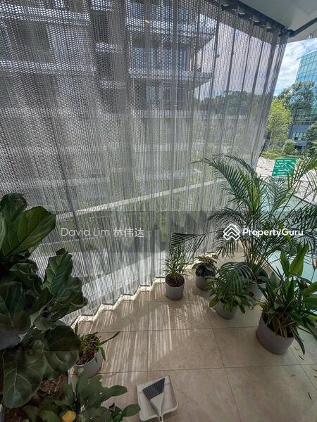 The Reef at King's Dock