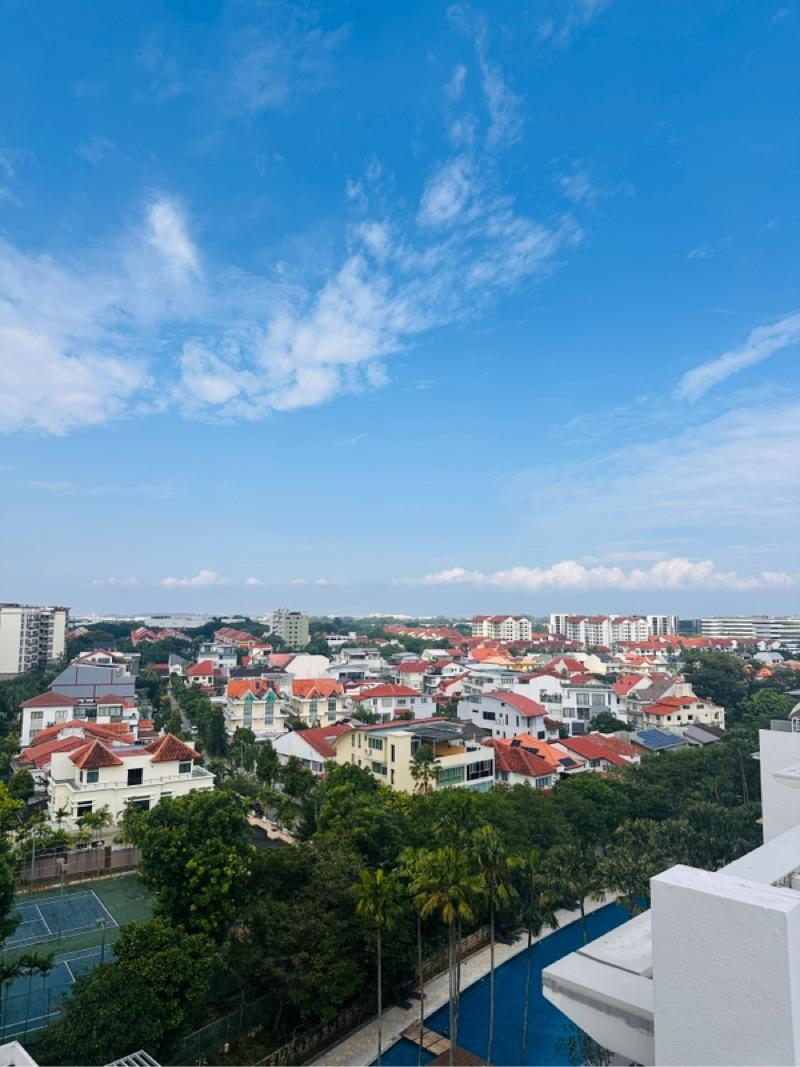 Prop-GPT: Condominium: D18  Changi Rise Condo