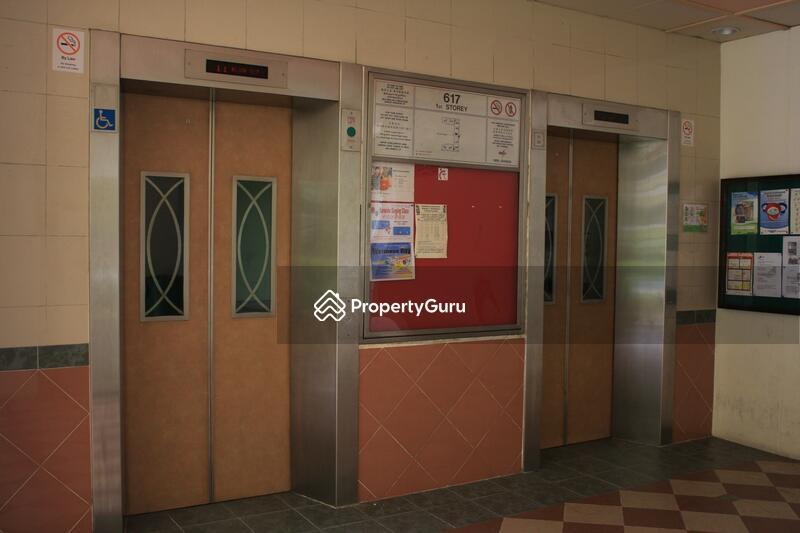 617 Jurong West Street 65