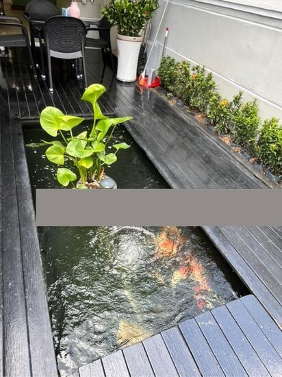 Villa Verde Terraced House For Sale, $2,550,000, 5 Bed 4 Bath 3,500 sqft $1,545.00 psf