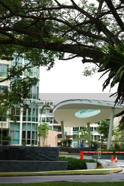 Condominium for Sale: D26, 787066