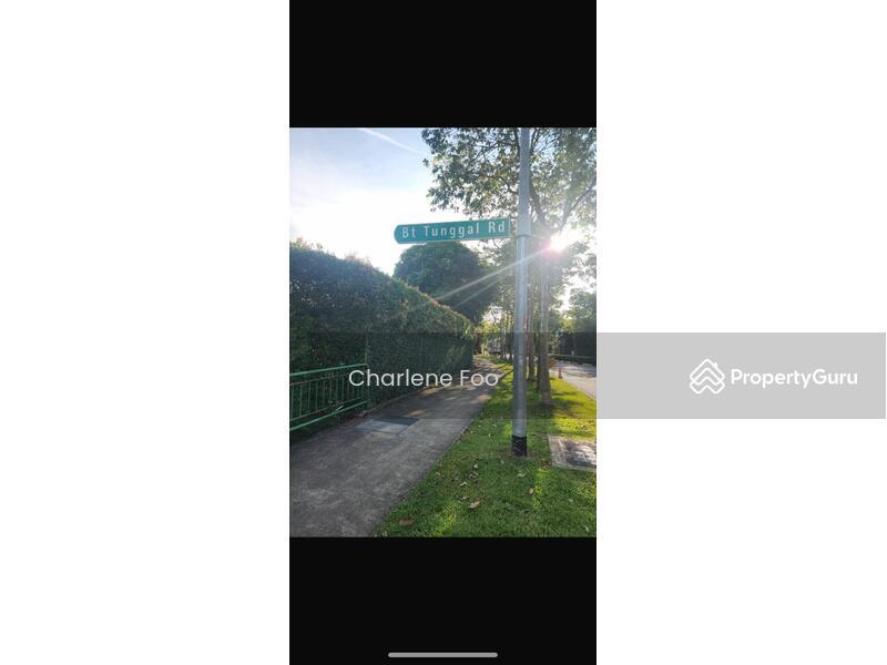 Prop-GPT: Bungalow - Good Class: D11  Bukit Tunggal Road