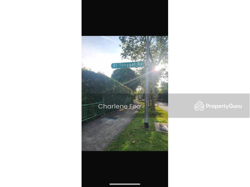 Bungalow - Good Class for Sale, Bukit Tunggal Road, SGD 45,000,000 | Freehold