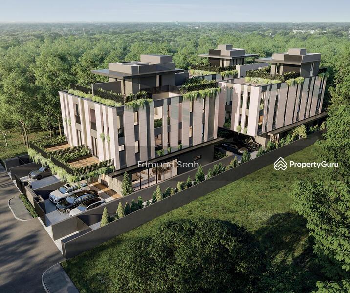 Prop-GPT: Semi-Detached: D15  ? District 15 ? Brand New : Pool + Lift ? Bespoke Luxury Landed Homes ?
