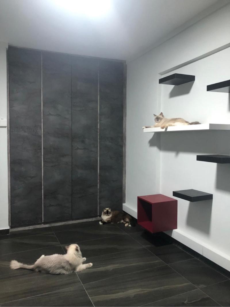 HDB Apartment for Sale, 484 Jurong West Avenue 1 HDB Apartment For Sale, $380,000, 2 Bed 2 Bath 721 sqft $527.00 psf, SGD 380,000 | 99-year Leasehold