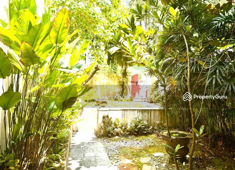 Conservation Home for Sale,  Adelyn 93259988  Cairnhill Conservation House, SGD 12,880,000 | Freehold