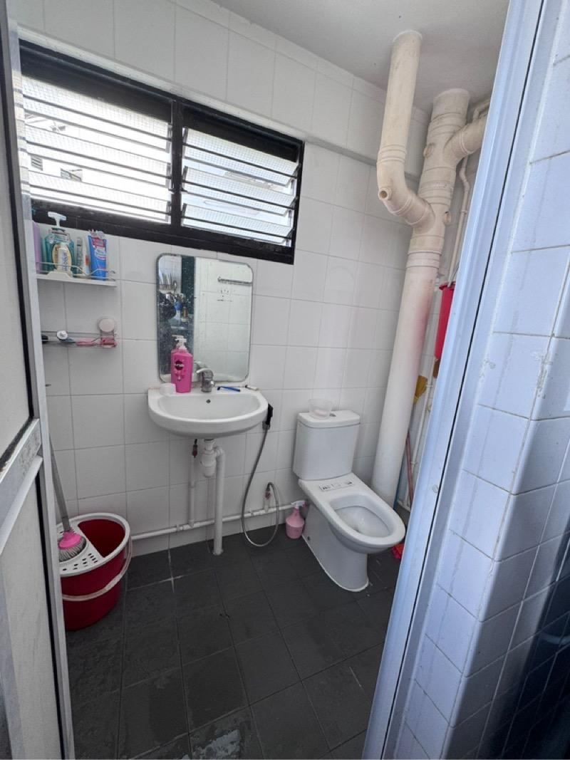 HDB Apartment for Sale: D19, 530630