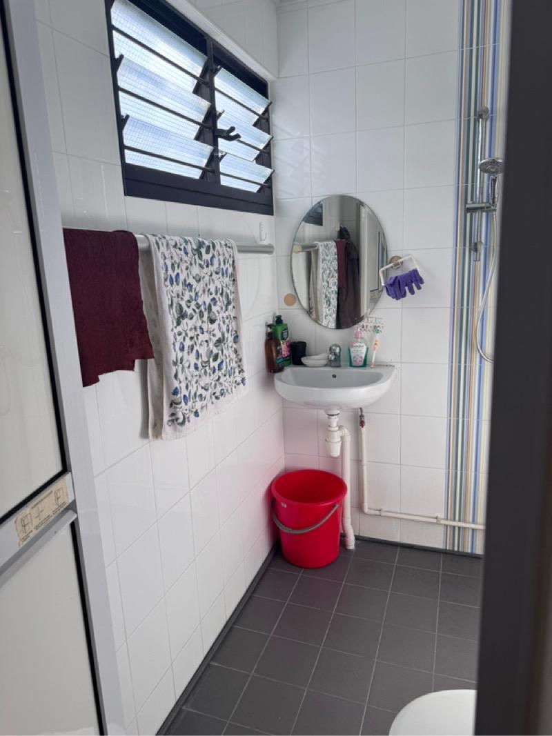HDB Apartment for Sale: D19, 530630