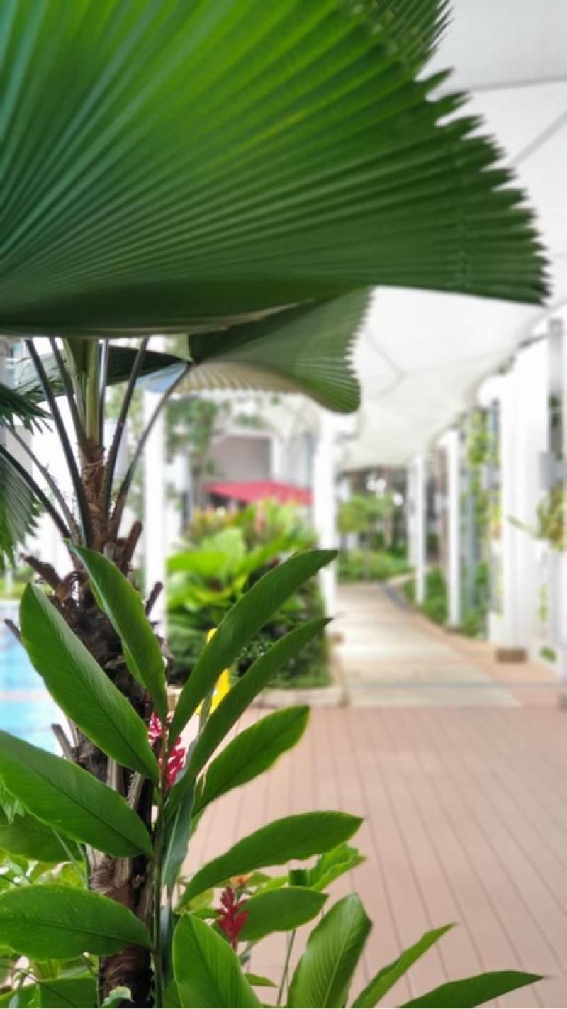Condominium for Sale: D09, 238712