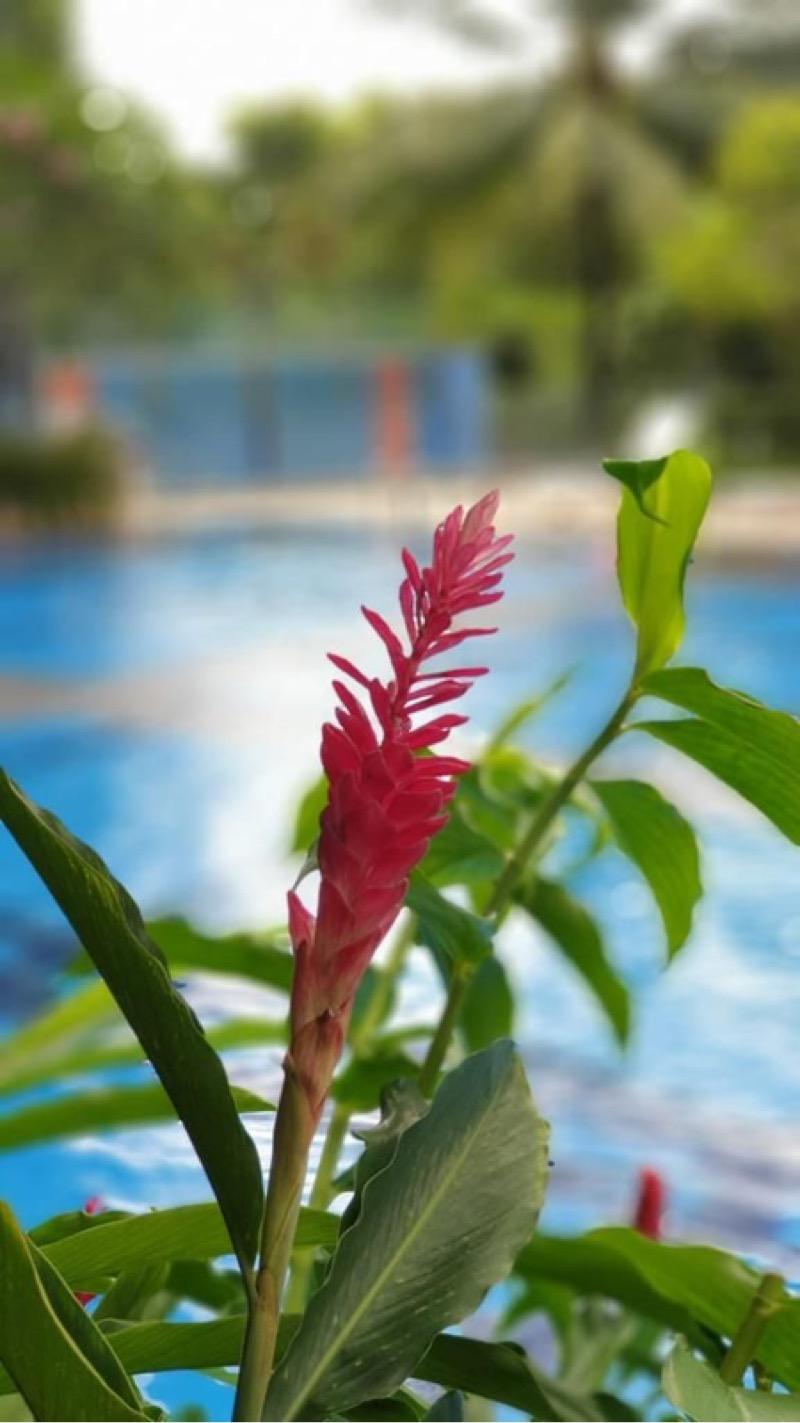 Condominium for Sale: D09, 238712