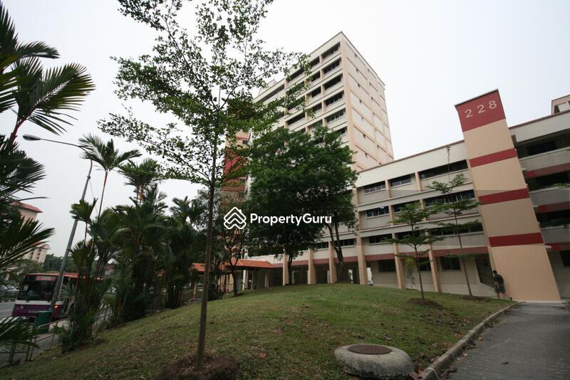 228 Jurong East Street 21