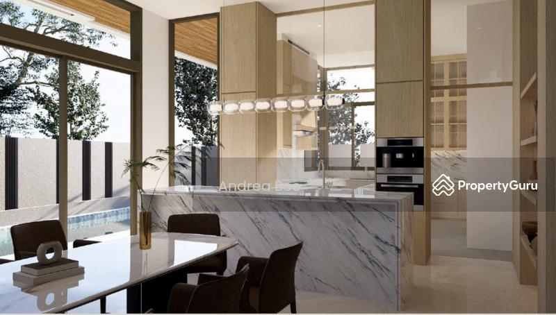 Semi-Detached for Sale, Brand New! Park Access!, SGD 12,580,000 | Freehold