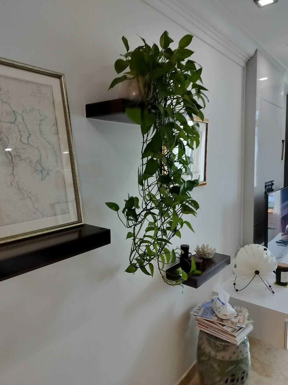 Jervois Jade Apartment For Sale, $1,750,000, 2 Bed 2 Bath 1,141 sqft $1,534.00 psf