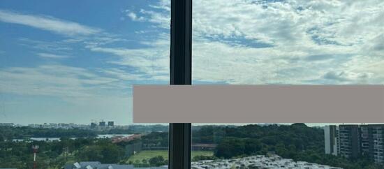 Condominium for Sale, Skies Miltonia Condominium For Sale, $3,500,000, 4 Bed 5 Bath 2,713 sqft $1,290.00 psf, SGD 3,500,000 | 99-year Leasehold
