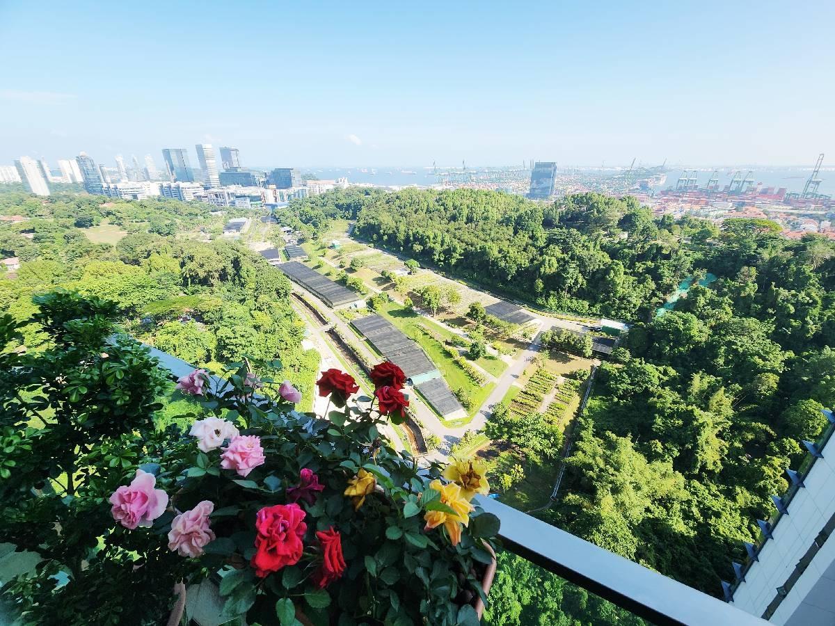 NORMANTON PARK Apartment For Sale, $1,550,000, 3 Bed 1 Bath 786 sqft $1,972.00 psf