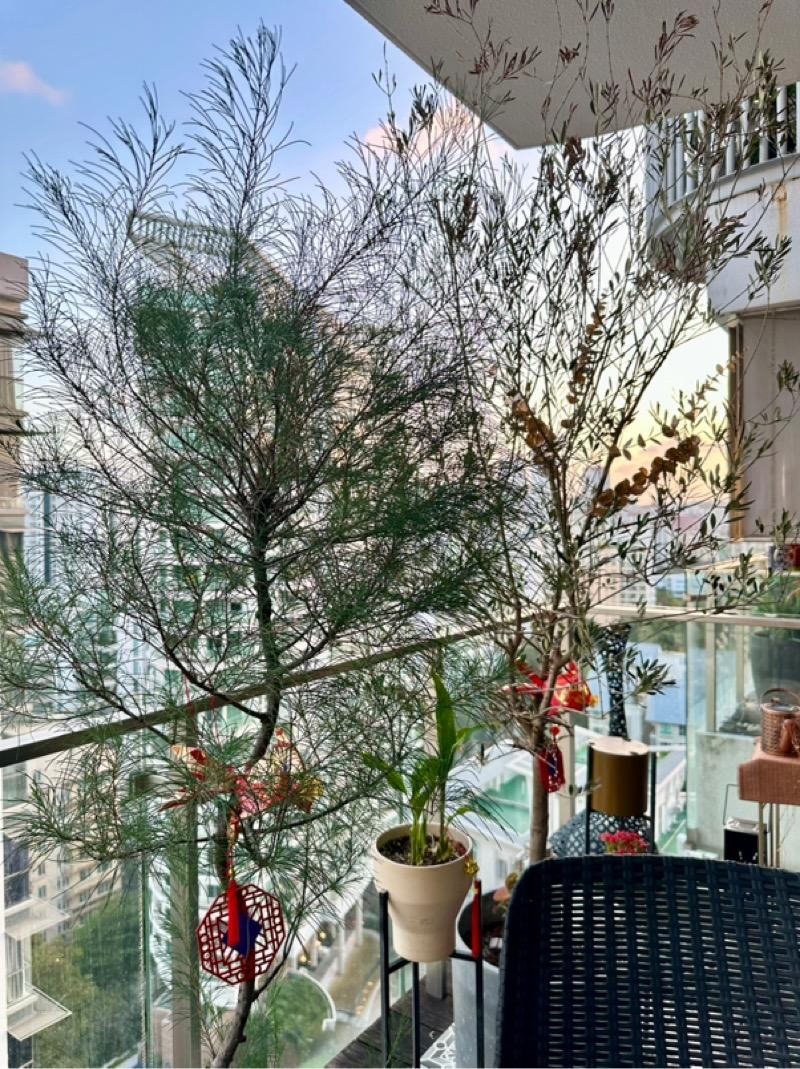 The Mercury Apartment For Sale, $1,510,000, 2 Bed 1 Bath 635 sqft $2,378.00 psf