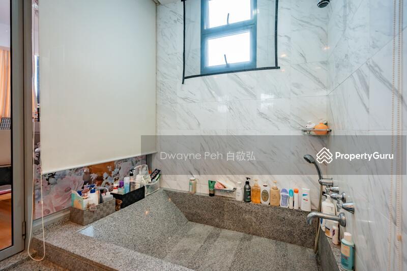 Condominium for Sale: D15, 436606