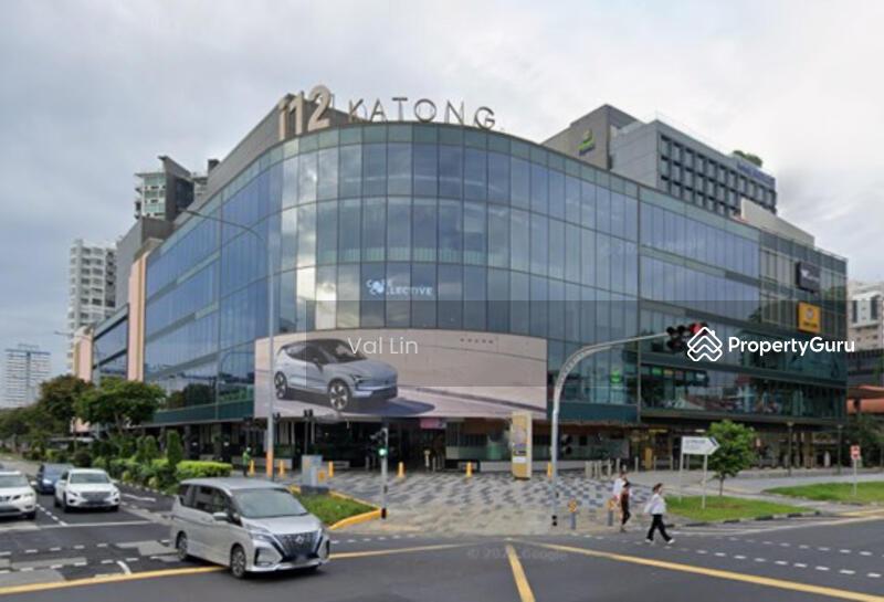 Katong D15  Brand New Terrace D15 3.5-Storey 1km Haig Girls Tanjong Katong Pri