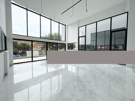 Prop-GPT: Detached: D19  Kovan Road Brand New Luxurious Detached