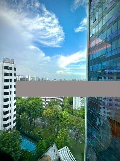 Condominium for Sale: Cairnhill, D09, 229743