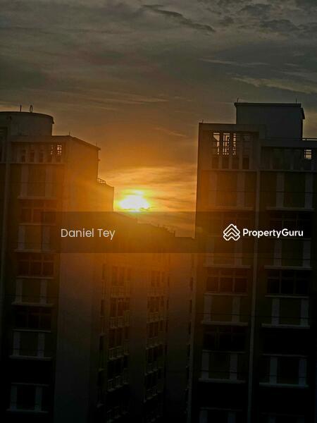 HDB Flat for Sale: Yishun, D27, 764505