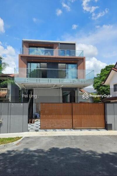 Prop-GPT: Detached: D11  D11 Detached Landed Brand New 2.5 Storey Detached @ Thomson, Novena
