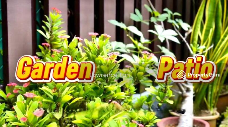 Terrace for Sale: D05, 127836